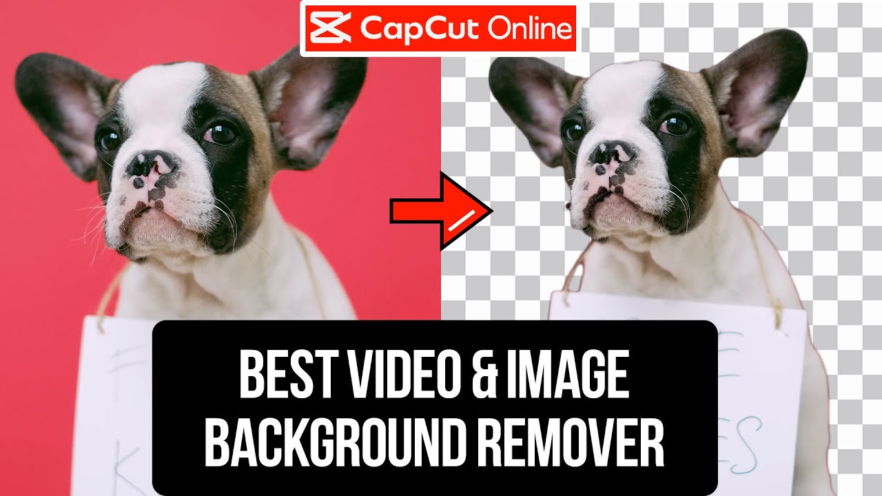 2024 Best Video & Image Background Remover - Free & No Watermark!
